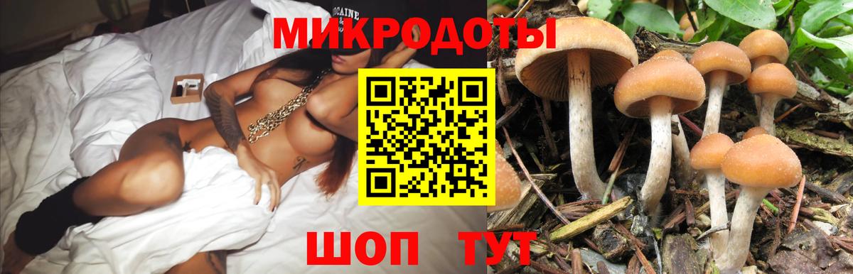 Галлюциногенные грибы Magic Shrooms  Вход с VPN  Иваново 